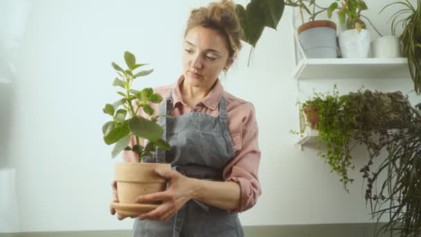 Rastreamento Tiro Jardineiro Feminino Avental Examinando Colocando Panela Com Planta — Vídeo de Stock