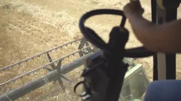 在农村地区经营联合收割机和收割小麦的未被发现的女农民 — 图库视频影像