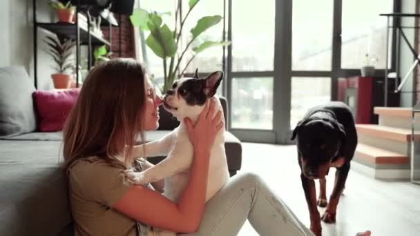 Счастливая Молодая Женщина Домашней Собакой — стоковое видео