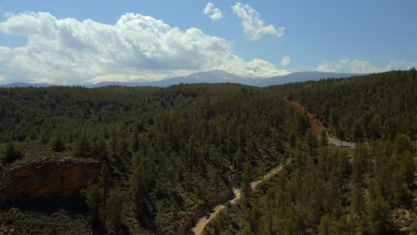 Flytning Antenne Udsigt Grønne Nåletræer Skov Francisco Abellan Reservoir Region – Stock-video