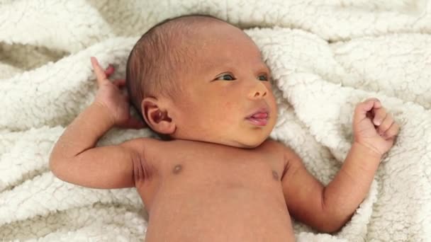 Von Oben Ruhiges Entzückendes Neugeborenes Auf Weicher Decke Liegend — Stockvideo