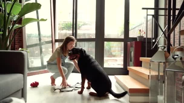 Glückliche Junge Frau Mit Hund Hause — Stockvideo