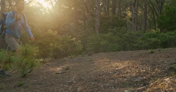 Sırt Çantalı Bastonlu Yetişkin Bir Adamın Gündüz Vakti Yeşil Ağaçlıklarda — Stok video