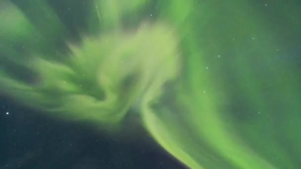 Εντυπωσιακό Τοπίο Του Πράσινου Βόρεια Φώτα Φωτίζει Σκοτεινό Ουρανό Χειμώνα — Αρχείο Βίντεο