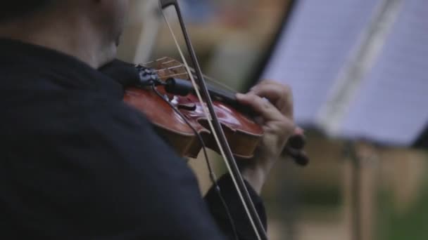 Cortado Músico Anônimo Tocando Violino — Vídeo de Stock