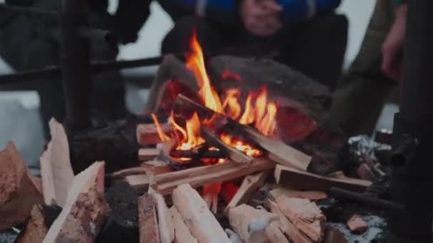 Crop Személy Közel Tűz Barátaival Majd Állítsa Pot Tartó Miközben — Stock videók