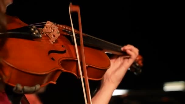 ヴァイオリニストは暗闇の中で演じている 少女はバイオリンを再生します クローズアップ — ストック動画