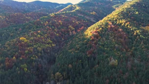 Impresionante Vista Las Montañas Valle Cubierto Árboles Forestales Mixtos Contra — Vídeos de Stock
