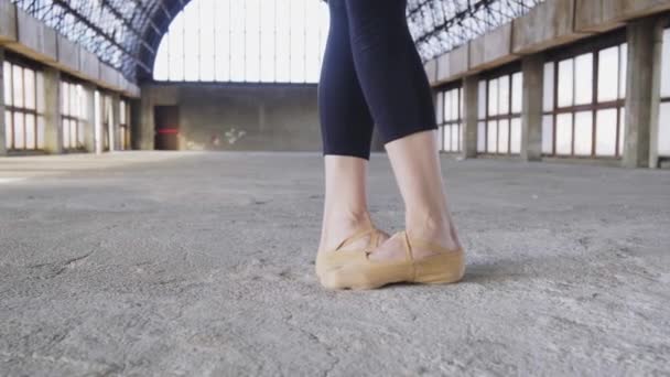 Cortar Dançarina Balé Sem Rosto Leotard Preto Sapatos Pontiagudos Esticando — Vídeo de Stock