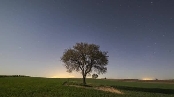 Niesamowita Sceneria Świecących Gwiazd Drogi Mlecznej Nocnym Niebie Nad Polem — Wideo stockowe