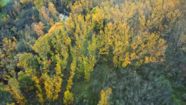 令人惊奇的无人驾驶飞机图像 在Huesca 一条狭窄的河流流经布满繁茂五彩缤纷的植被的山谷 — 图库视频影像