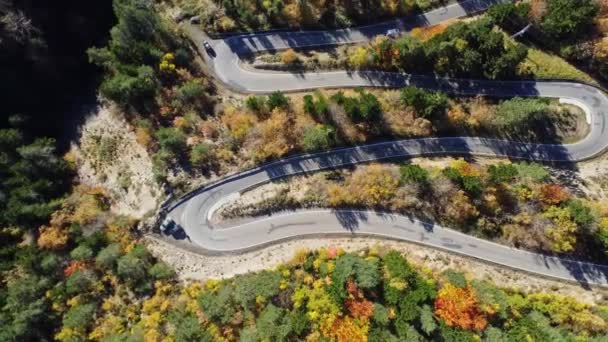 Atemberaubende Luftaufnahme Der Kurvigen Asphaltstraße Durch Üppigen Herbstwald Mit Bunten — Stockvideo