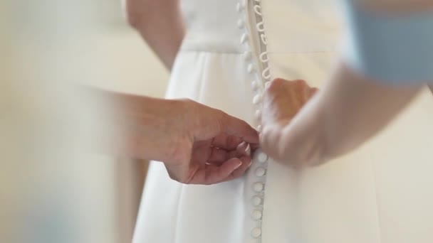 Cortar Mãos Pessoa Irreconhecível Abotoando Corsage Vestido Branco Elegante Noiva — Vídeo de Stock