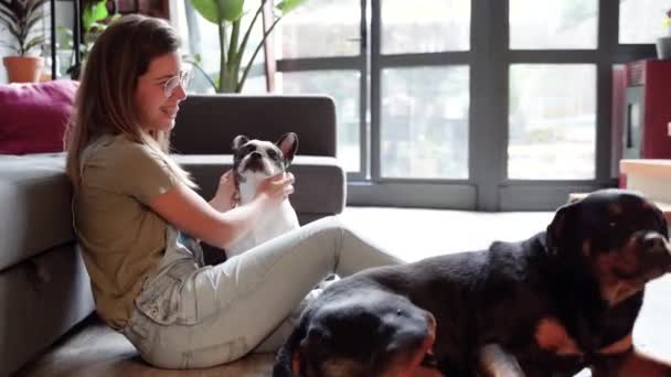 Gelukkig Jong Vrouw Met Huisdier Hond Thuis — Stockvideo