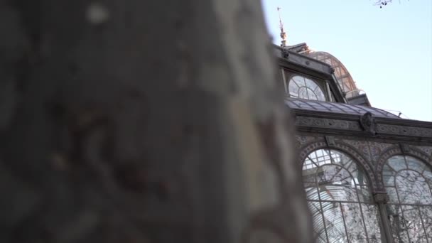 西班牙马德里 退休公园 Palacio Cristal 几何古城堡 玻璃窗户反映树木 — 图库视频影像