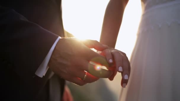 Közelkép Menyasszonyról Vőlegényről Amint Egymás Kezét Fogják — Stock videók