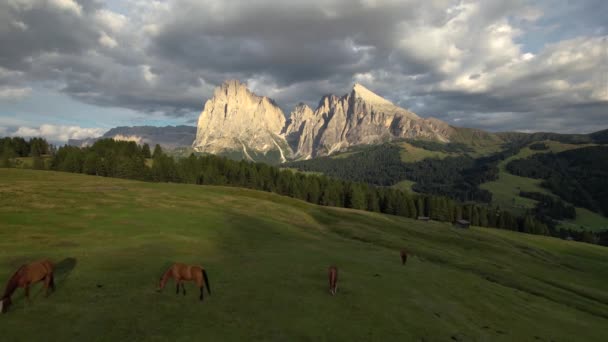 白云石山附近的草坡上 在多云的天空下 有许多马在吃草 这是令人惊叹的空中景象 — 图库视频影像