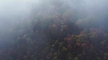 Torla 'da güneşli bir sonbahar gününde, bulutların altında yemyeşil ormanlarda büyüyen renkli ağaçların havadan görünüşü.