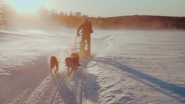 Tanımlanamayan kişi kızağa biniyor. Kar altında bir grup kurt tarafından itiliyor. Güzel bir gün batımı.