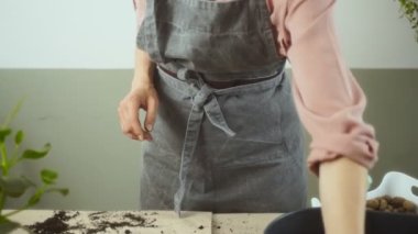 Önlüklü, tanınmayan bir kadının ellerindeki kiri silkeleyip, pilea peperomioides bitkisinin yakınındaki masaya seramik çömlek yerleştirirken evde bahçeyle uğraşırken çekilen fotoğrafı.