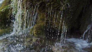Güneşli bir günde yeşil yosunlu ormandaki temiz şelale manzarasını terk et.