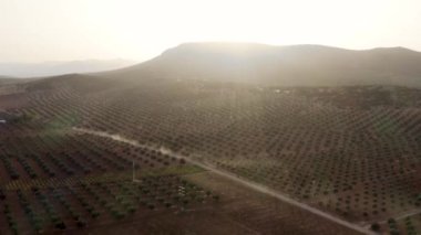 Sabahın erken saatlerinde dağların yakınındaki yollar ve meyve ağaçları olan geniş tarlaların nefes kesici drone görüntüsü.