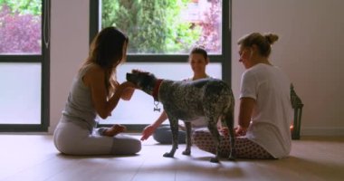 Lotus 'ta yerde oturmuş yoga dersi sırasında dost canlısı köpeklerle meditasyon yapan esnek ve mutlu kadınlar grubu.
