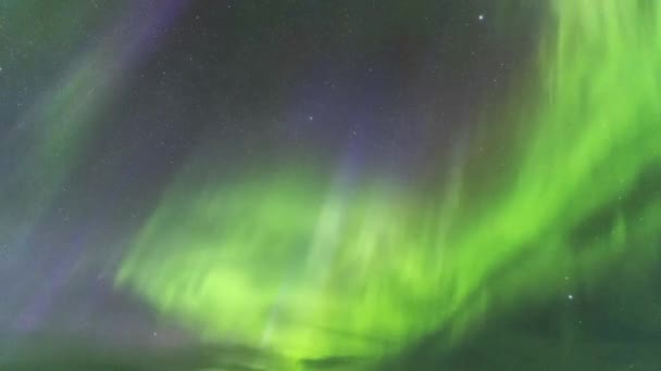 Εντυπωσιακό Τοπίο Του Πράσινου Βόρεια Φώτα Φωτίζει Σκοτεινό Ουρανό Χειμώνα — Αρχείο Βίντεο