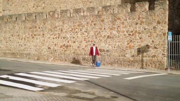 Vista Lateral Turista Masculino Atravessando Pedestre Cruzando Com Sua Mala — Vídeo de Stock
