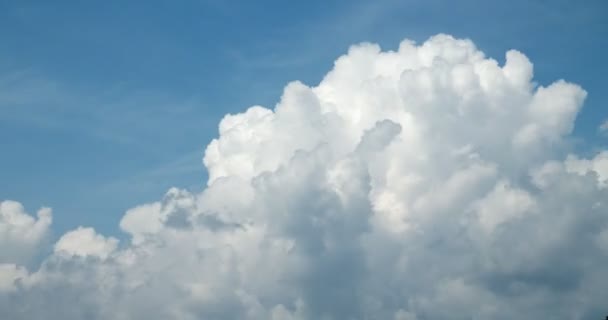 Von Unten Zeitraffer Ansicht Flauschig Weißer Wolken Die Sonnigen Tagen — Stockvideo