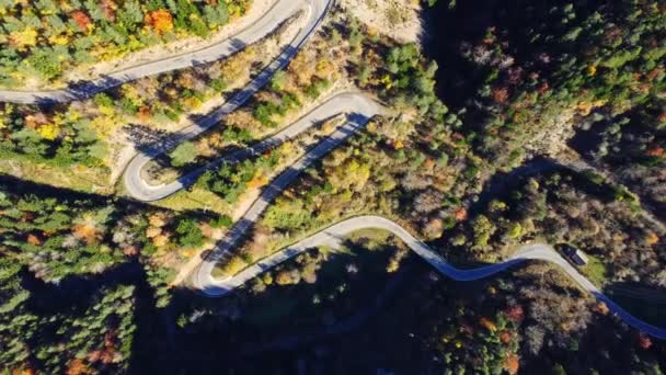 Atemberaubende Luftaufnahme Der Kurvigen Asphaltstraße Durch Üppigen Herbstwald Mit Bunten — Stockvideo