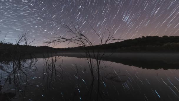 Trockene Zweige Einem See Gegen Den Nachthimmel Mit Hellen Sternen — Stockvideo