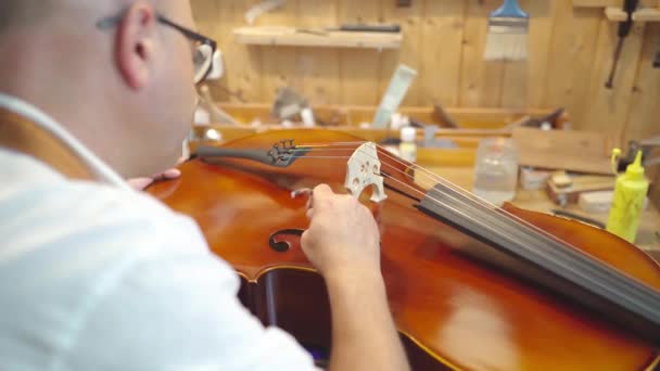 Crop Anonymous Craftsman Setting Sound Post While Building String Instrument — Stockvideo