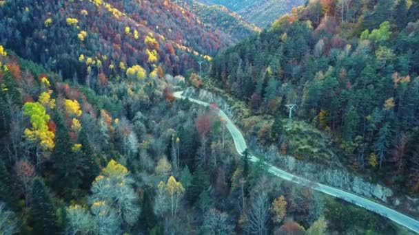 Atemberaubende Luftaufnahme Der Asphaltstraße Durch Üppigen Herbstwald Mit Bunten Bäumen — Stockvideo