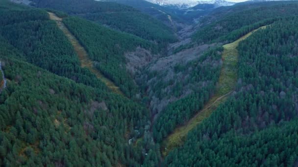 Drone Widok Malowniczej Góralskiej Doliny Zielonych Drzew Rosnących Rioja — Wideo stockowe