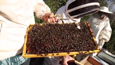 Arıcı kostümlü arıcılar, yaz aylarında kırsal bölgelerde arı kovanında çalışırken arıcı kullanırlar.