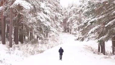 Dıştan görünüşlü, tanınmayan bir erkeğin, dağlarda yetişen ağaçların arasında, karlı yolda yürümesi.