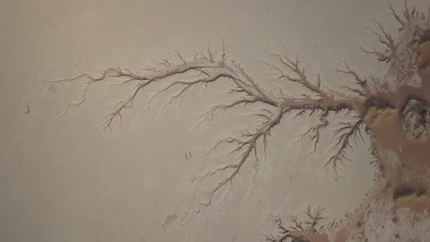 Schöne Landschaft Der Namib Wüste — Stockvideo