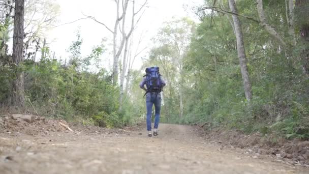 Вид Сбоку Путешествующего Человека Рюкзаком Стоящего Песчаной Дороге Лесу Время — стоковое видео