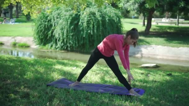 Aktif Giyimli Gerçek Zamanlı Sportif Kadın Vücudu Parkta Pilates Eğitimi — Stok video