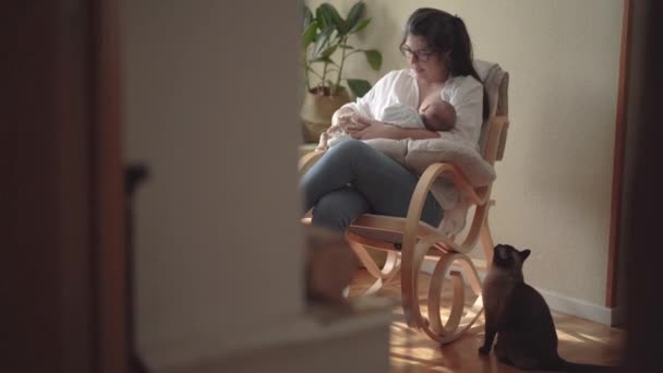 Mutter Mit Brille Säugt Anonymes Kleines Kind Auf Weichem Kissen — Stockvideo