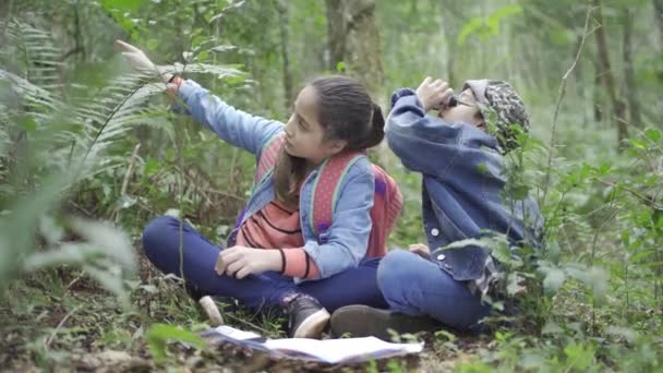 Etnisk Jente Viser Grønn Plante Til Bror Mens Hun Ser – stockvideo