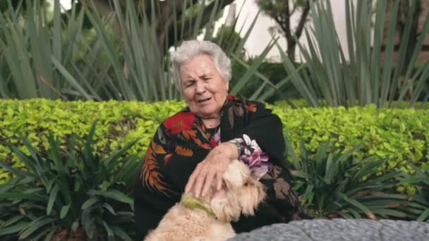 Yaşlı Kadın Mutluluktan Gülümseyip Ağlarken Yemyeşil Çalıların Yanında Oturuyor Bahçede — Stok video
