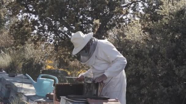 Szczęśliwy Profesjonalny Pszczelarz Ochronny Kapelusz Zajęty Pasieka Man Bee Master — Wideo stockowe