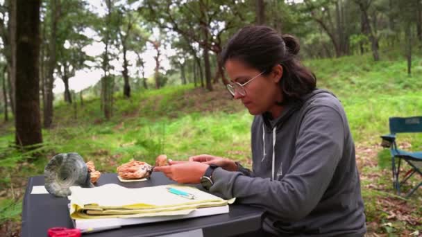 女性はテーブルに座って 自然の中で緑の草に対して新鮮なキノコを切断 — ストック動画