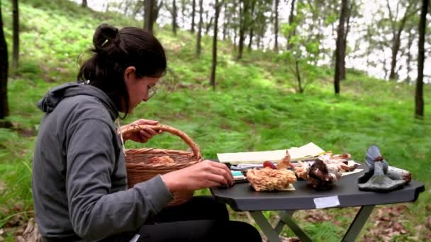 女毒菌学家慢慢地坐在桌旁 靠着露营帐篷 从树林里柳条筐里取出蘑菇 — 图库视频影像