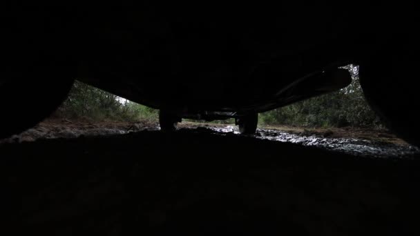 Carro Road Selva Durante Dia — Vídeo de Stock