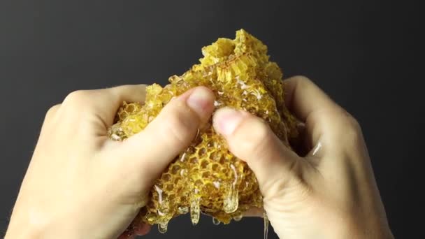 Κλείσιμο Της Καλλιέργειας Ανώνυμο Πρόσωπο Συμπίεση Κομμάτι Της Κηρήθρας Μέλι — Αρχείο Βίντεο