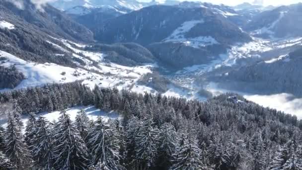 Bedøvelse Luftfoto Hvide Skyer Flyder Frodige Nåleskov Vokser Snedækket Bjergskråning – Stock-video