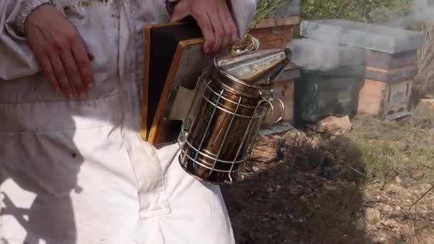 Crop Anonymous Beekeeper Protective Suit Standing Green Garden Metal Bee — Vídeos de Stock